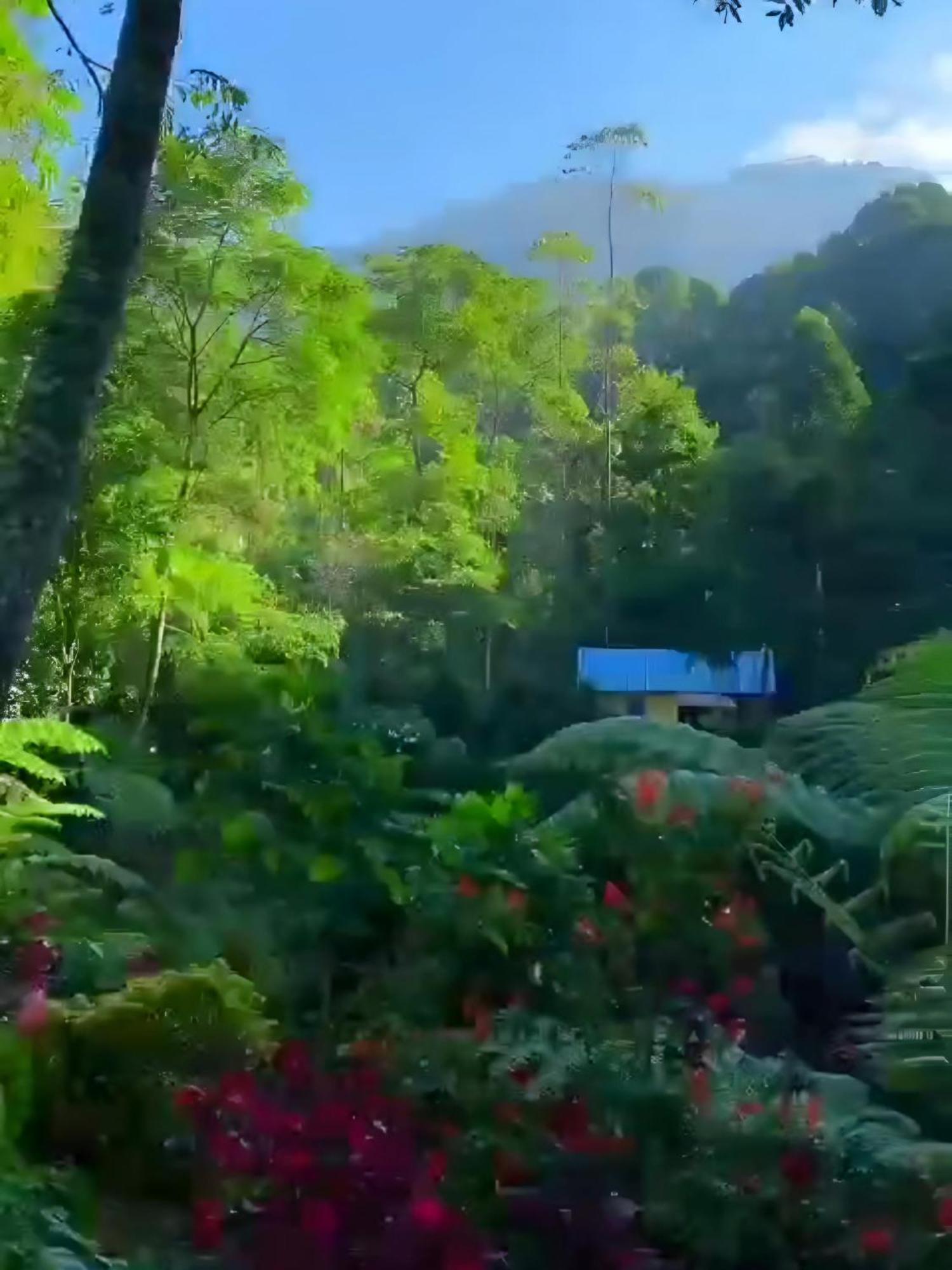 Penginapan Nuansa Riung Gunung Hotel Pangalengan Luaran gambar